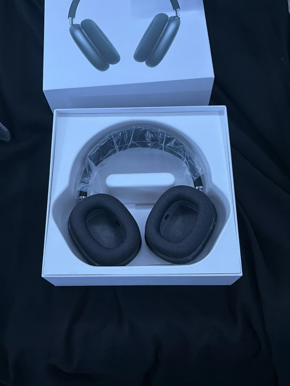 Apple AirPods Max in Silver Over-Ear Headphones